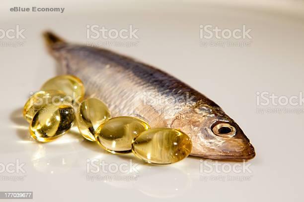 eBlue_economy_زيت الأسماك كلمة السر فى الوقاية من أمراض القلب