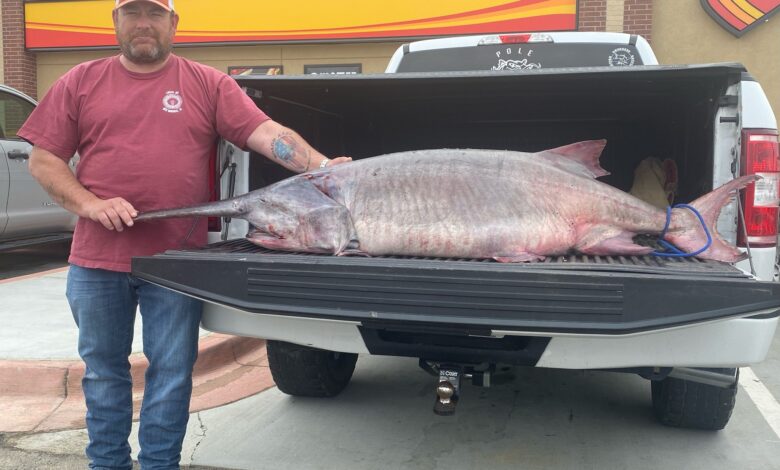 eBlue_economy_Angler catches massive paddlefish in Tennessee