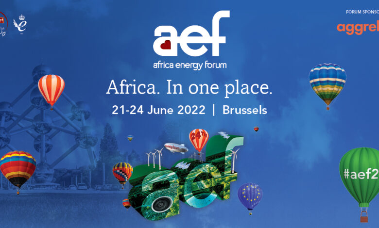 eBlue_economy_Africa Energy Forum, Belgium