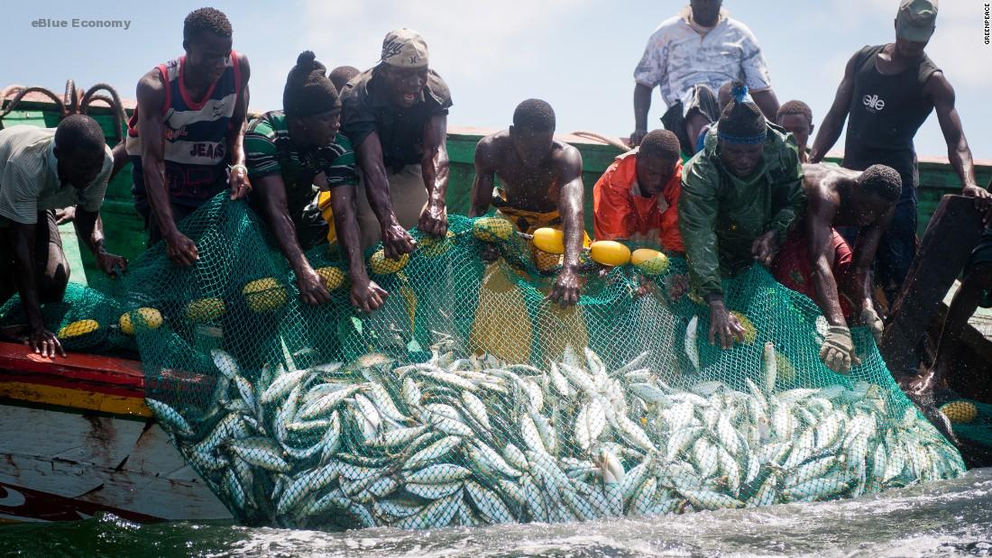 eBlue_economy_How illegal fishing off Cameroon’s coast worsens maritime security