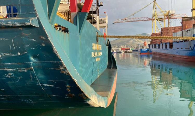 eBlue_economy_Russian cargo ship allided with berthed Turkish container ship