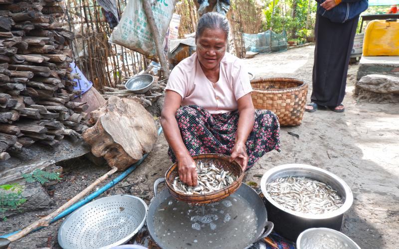 eBlue_economy_Aquatic foods achieve nutrition security in Myanmar and Zambia