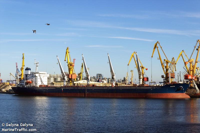 eBlue_economy_First grain ship departs from Ukrainian port since Russia’s invasion