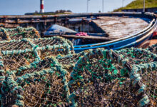 eBlue_economy_ITF statement on Irish Government's review of the Atypical Work Permit Scheme for non-EEA fishers