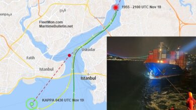 eBlue_economy_Georgian container ship disabled in Bosphorus