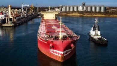 eBlue_economy_Ships sail from Ukraine despite Russia suspending grain deal